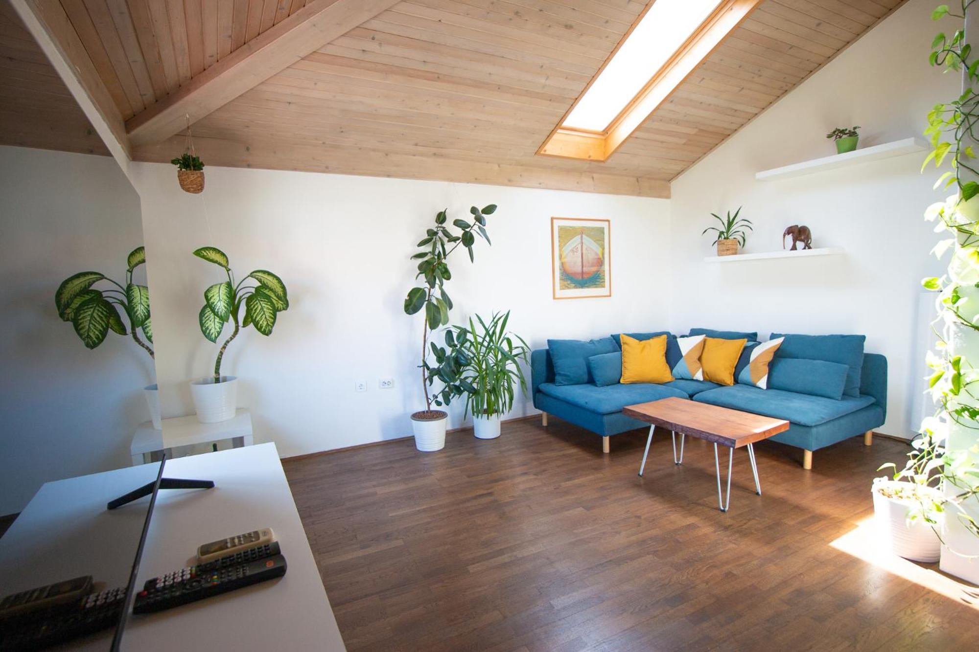 Bivalvia Apartments Koper Dış mekan fotoğraf