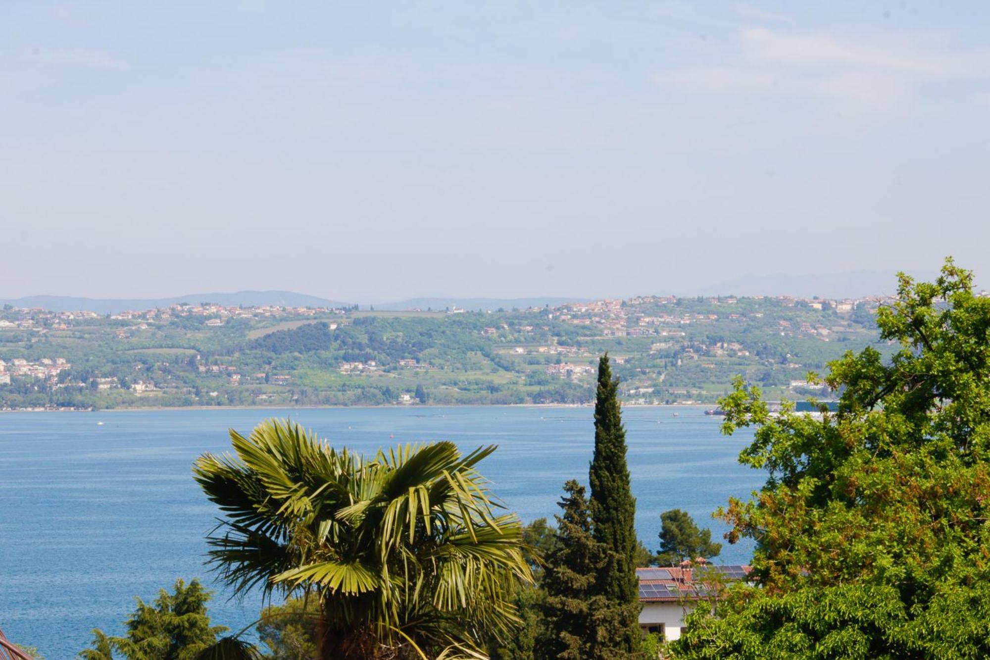 Bivalvia Apartments Koper Dış mekan fotoğraf