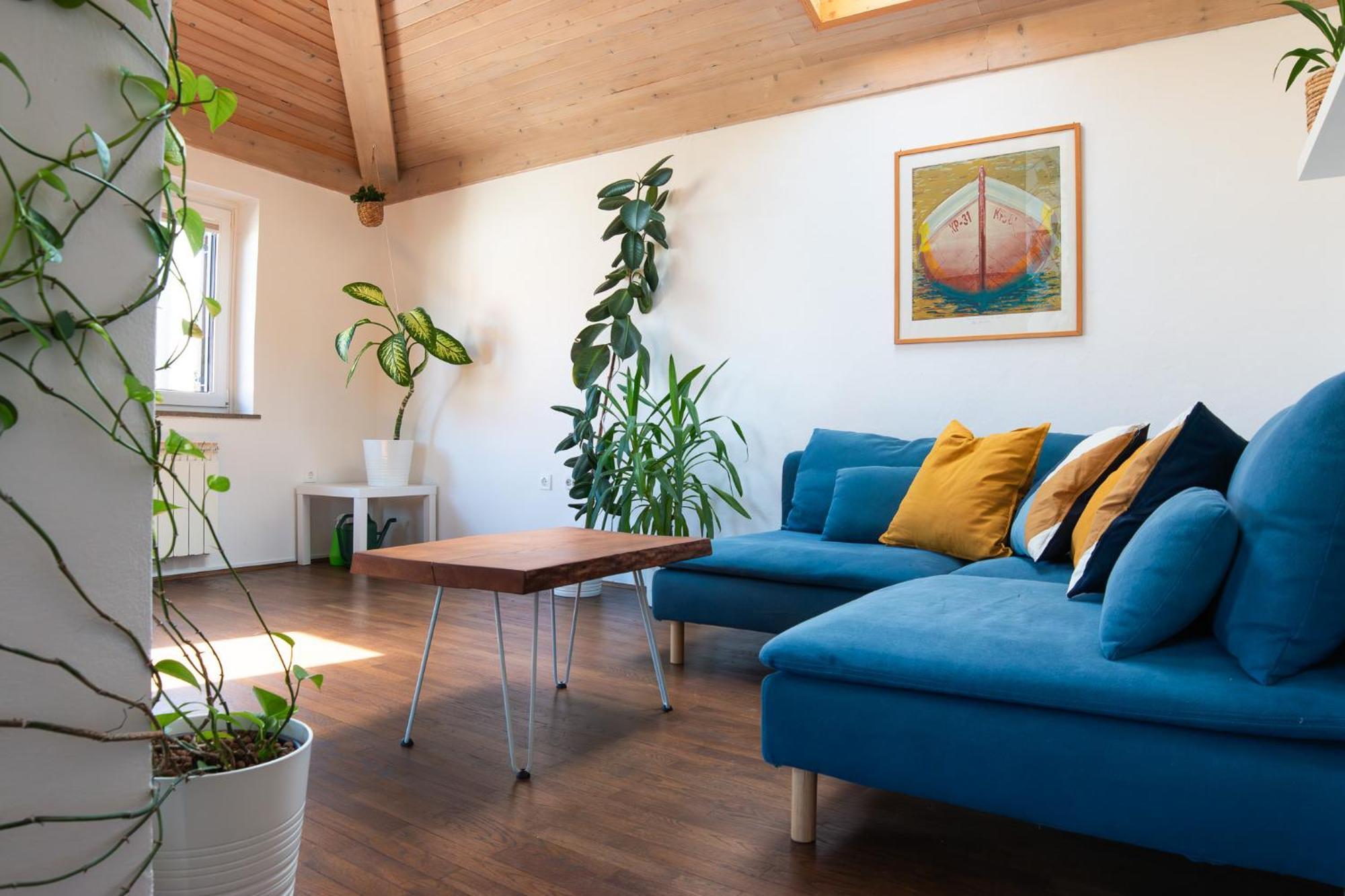 Bivalvia Apartments Koper Dış mekan fotoğraf